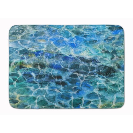 Carolines Treasures Eel Under Water Machine Washable Memory Foam Mat BB5360RUG